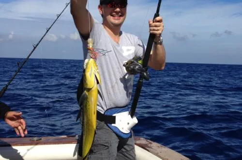 Photo by VisualK Xpansivo on Flickr